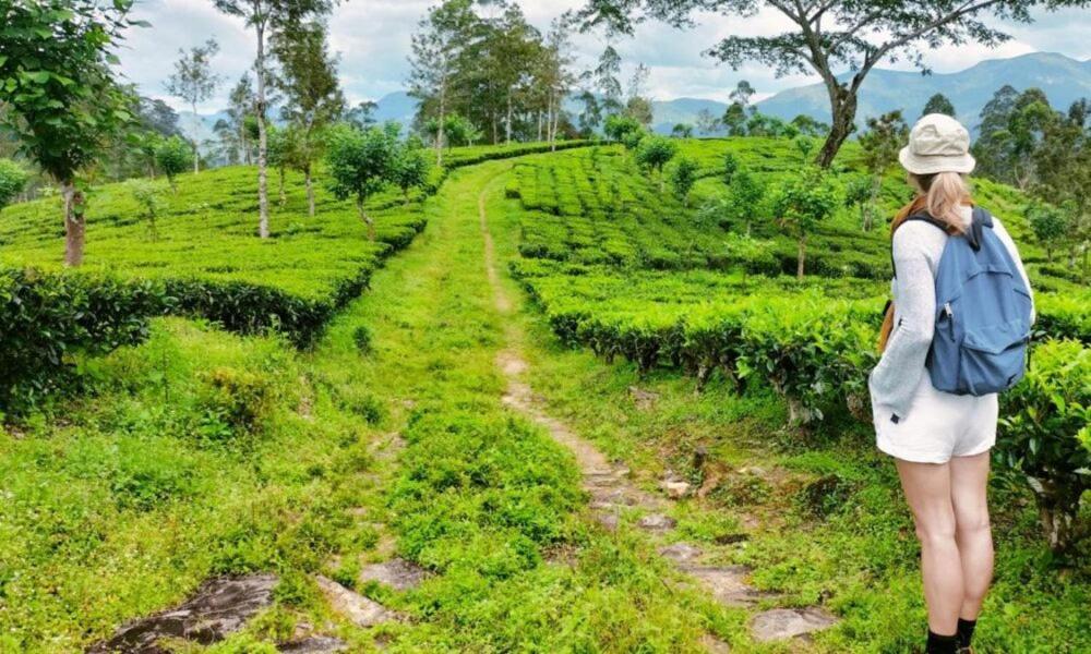 Appartamento Tea Leaf Retreat Kandy Esterno foto