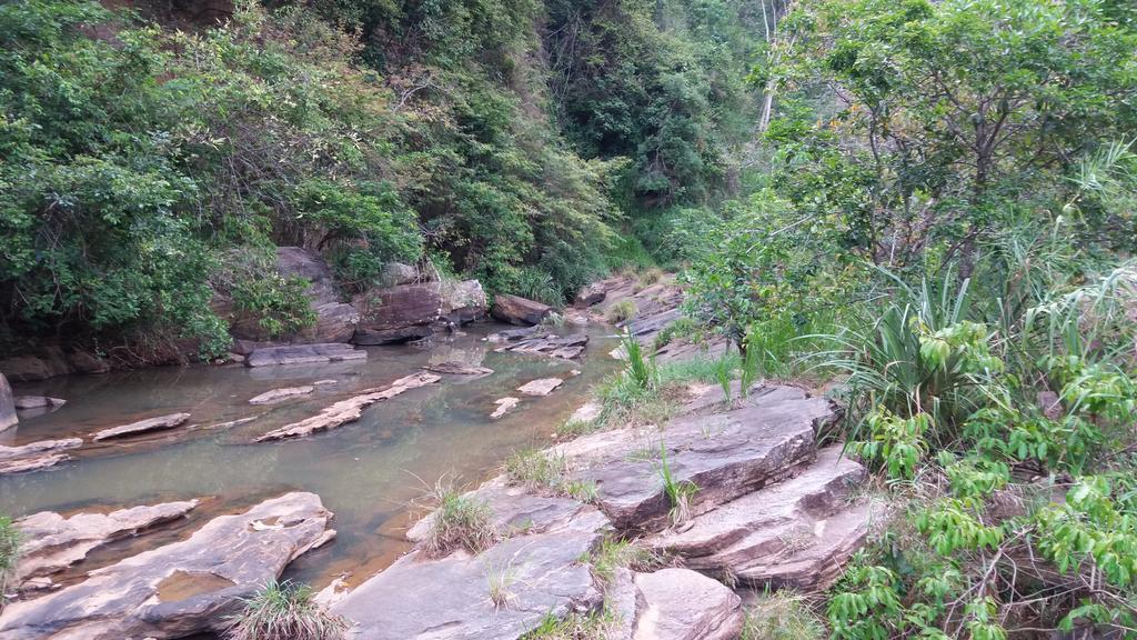 Appartamento Tea Leaf Retreat Kandy Esterno foto