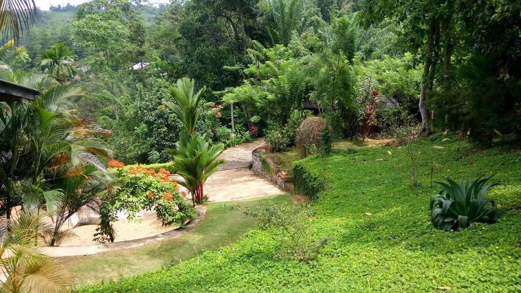 Appartamento Tea Leaf Retreat Kandy Esterno foto