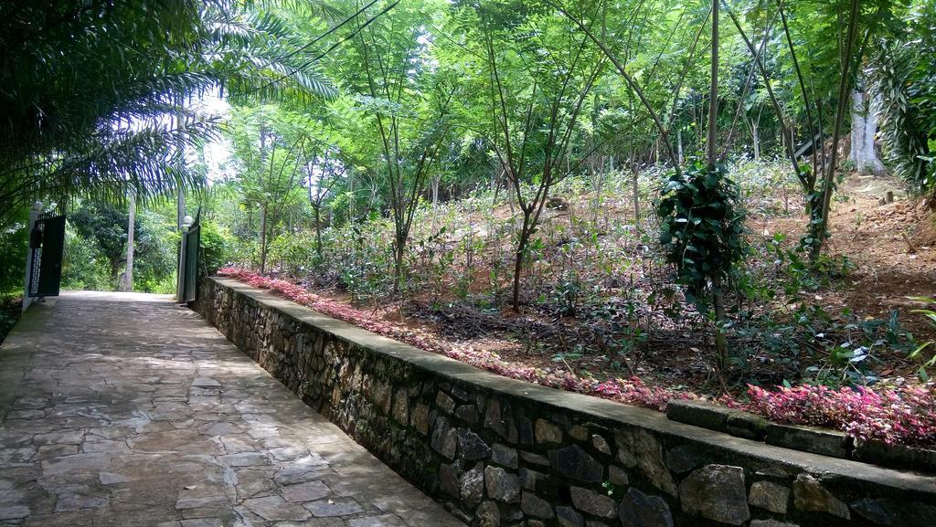 Appartamento Tea Leaf Retreat Kandy Esterno foto