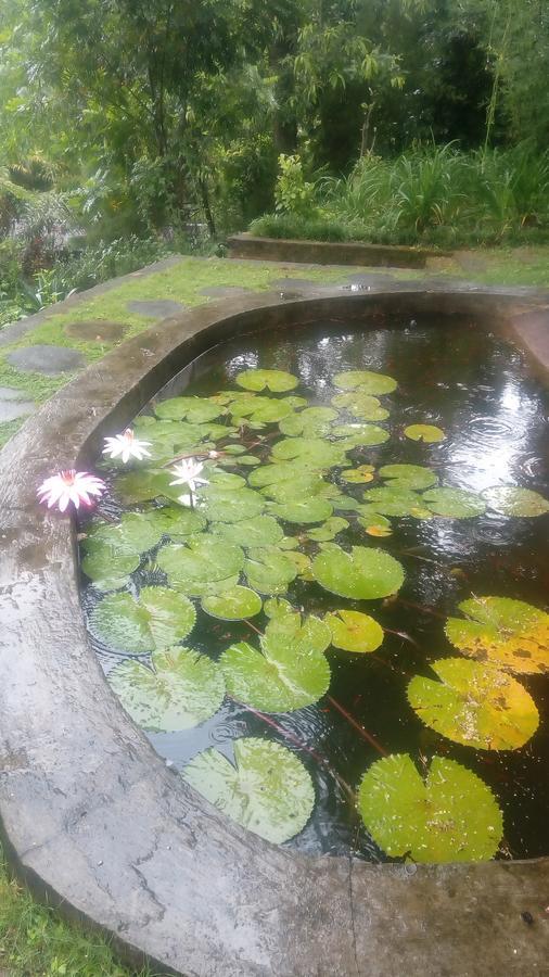 Appartamento Tea Leaf Retreat Kandy Esterno foto