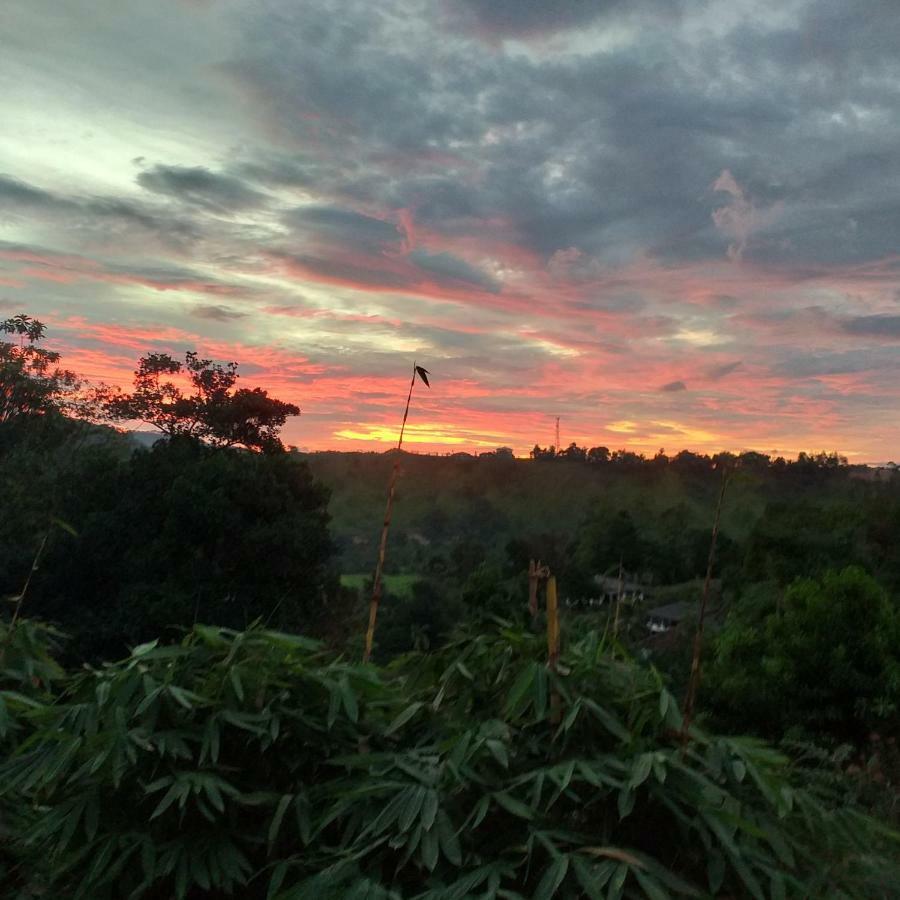 Appartamento Tea Leaf Retreat Kandy Esterno foto